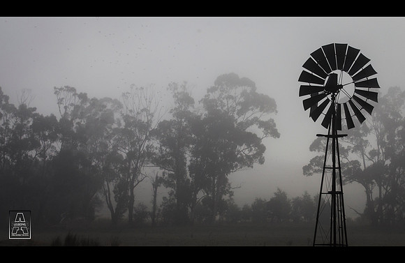 Misty Morning